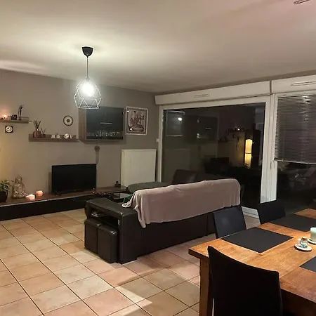Un Havre De Verdure En Apartment Colmar