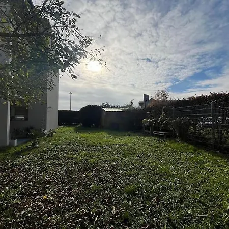 Un Havre De Verdure En Colmar