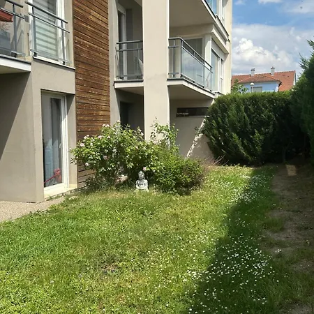 Un Havre De Verdure En Colmar
