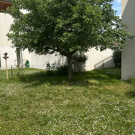 Un Havre De Verdure En Apartment *
