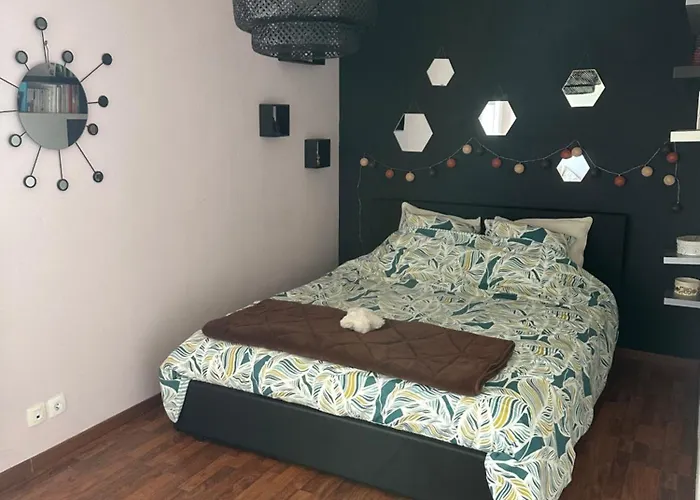 Un Havre De Verdure En Colmar