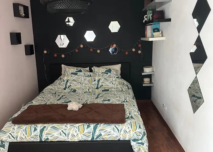 Un Havre De Verdure En * Colmar